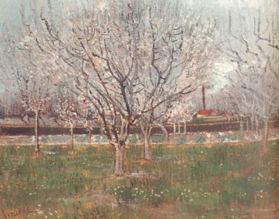 Vincent Van Gogh Orchard in Blossom (nn04) oil painting picture